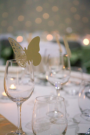 IMG_1279_TheWesley_Weddings_LGardiner