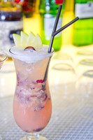 _MG_3581_Cocktails_LGardiner