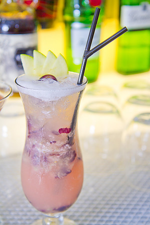 _MG_3581_Cocktails_LGardiner