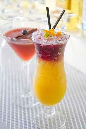 _MG_3610_Cocktails_LGardiner