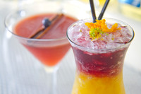 _MG_3609_Cocktails_LGardiner