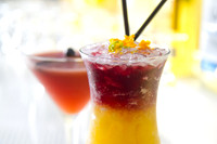 _MG_3604_Cocktails_LGardiner