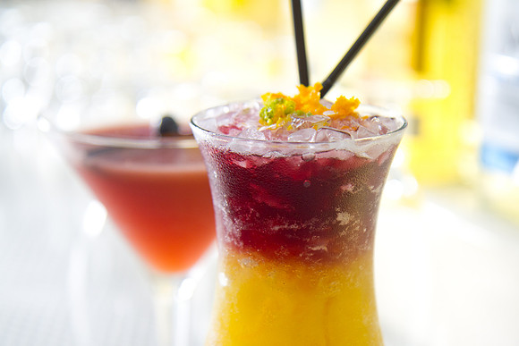 _MG_3604_Cocktails_LGardiner