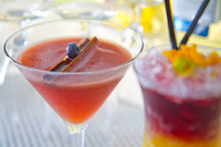 _MG_3608_Cocktails_LGardiner