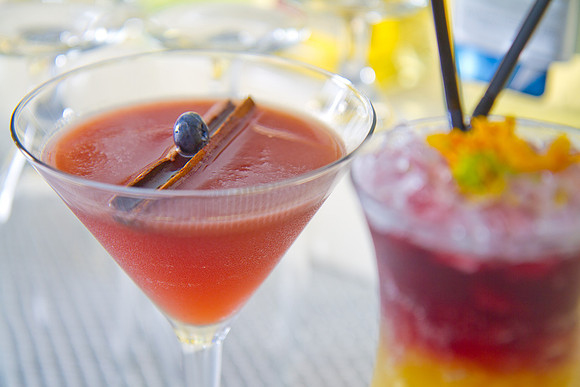 _MG_3608_Cocktails_LGardiner