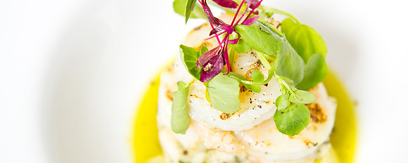 IMG_0969_TheWesley_FoodBanners_LGardiner