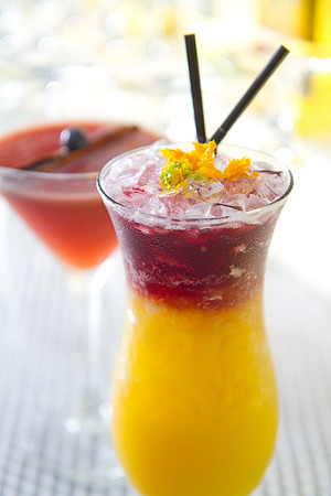 _MG_3605_Cocktails_LGardiner