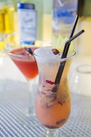 _MG_3580_Cocktails_LGardiner