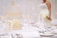 IMG_1139_TheWesley_Weddings_LGardiner