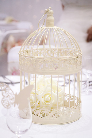 IMG_1152_TheWesley_Weddings_LGardiner
